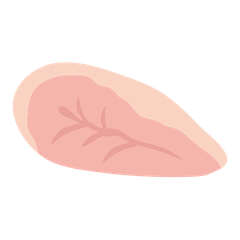 鶏むね肉のイラスト